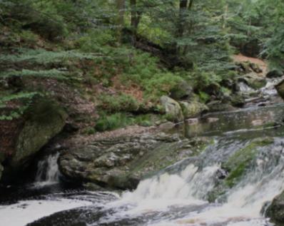 Gite Ardennes Au Coin Du Feu Jacuzzi Sauna Et Nature Jalhay Exterior foto
